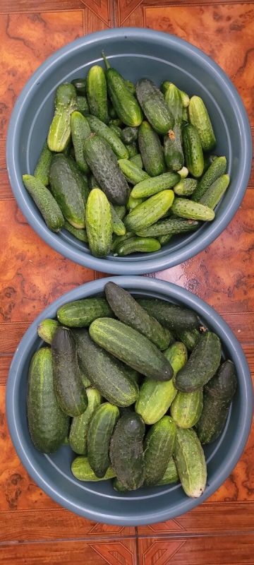 ������ � ���� ������: ������ ������ �� ������ ����������