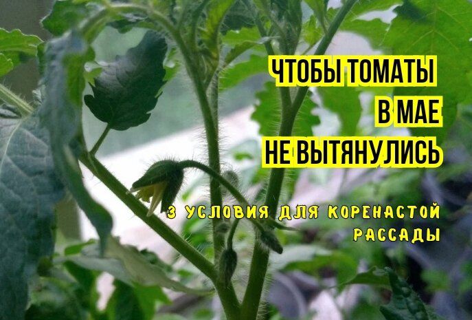 ��� ��������� ������� ������: ������� ��������� ��� �������� �������