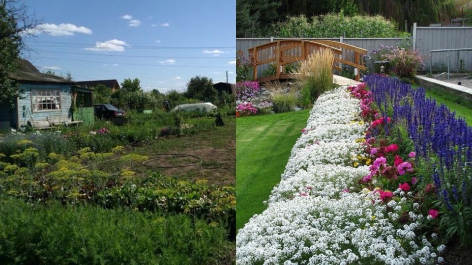 ������������� ������� �������: 7 ��������� ��������, ������� ������ �������� �������� ���