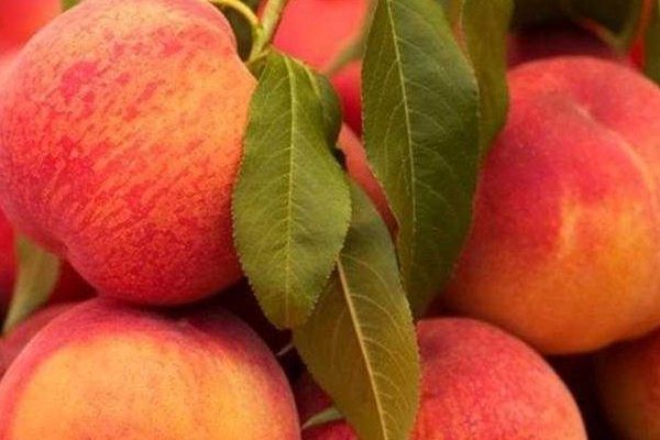 ������ ������: ��������� ����� ��� ������ ����