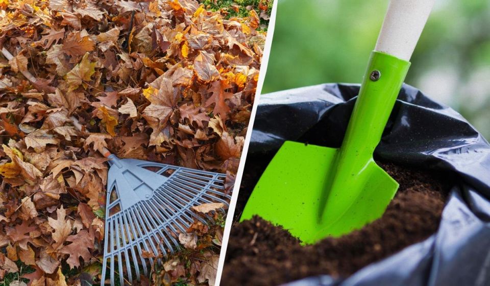 ��� �� ������� ������� ������� ����������� ��������� ����� �� ��� ������