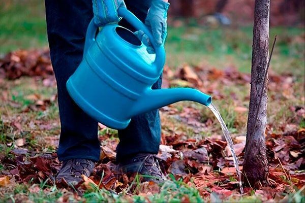 ��� ������� ��������� ����� ������ ��� �����: ������� ��������� �����