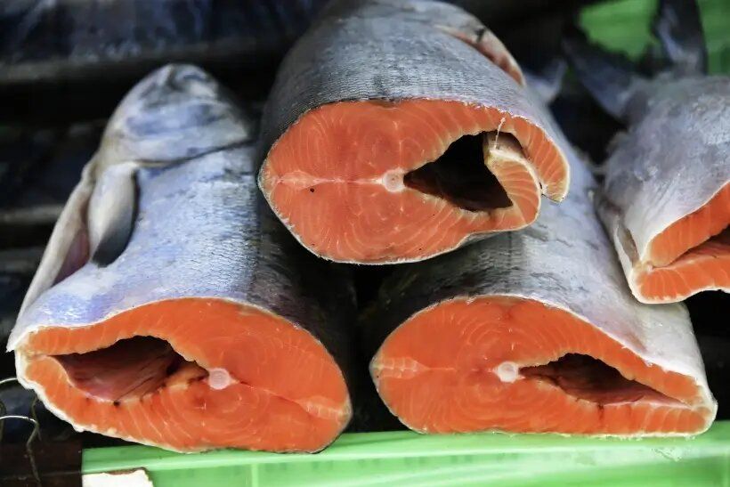 Русский лосось возобновляет поставки рыбопродукции после долгого перерыва