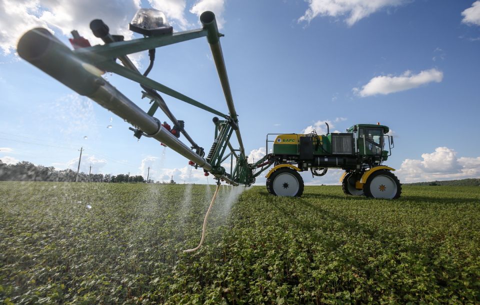 Аналитики уверены в стабильности цен на гречку: оптимистичные новости из Алтайского края