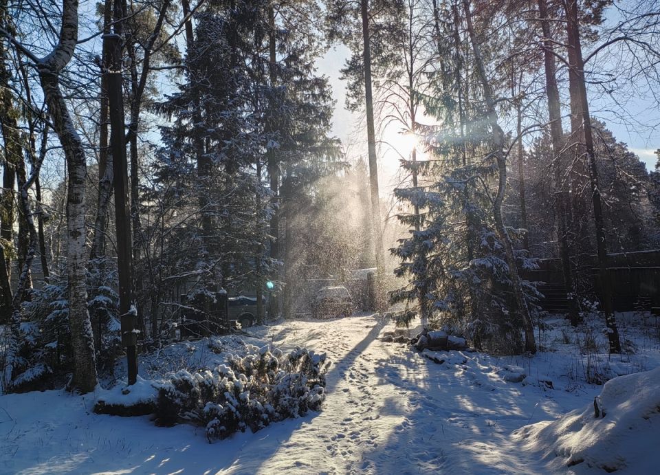 ������ ������ ���������: ����� �������� ������� �� ���������