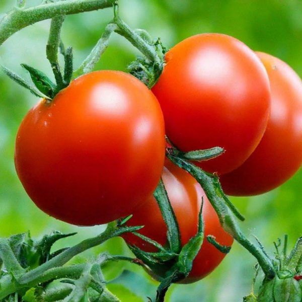 ����� ����: ������ ������ � �������� � ����� ��� ��������� ������