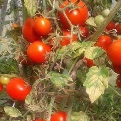 ����� ������-��: ��������� ����� ��� ��������� �����