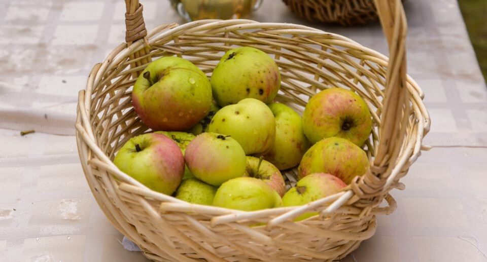 ��� � ����� �������� ��������� ������������ ������ � ������� ������ �����