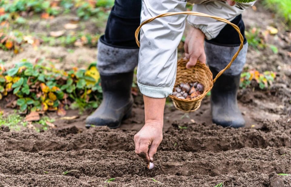 ������� ������ � ���� � �������: ��� ������������� � ���� � ������