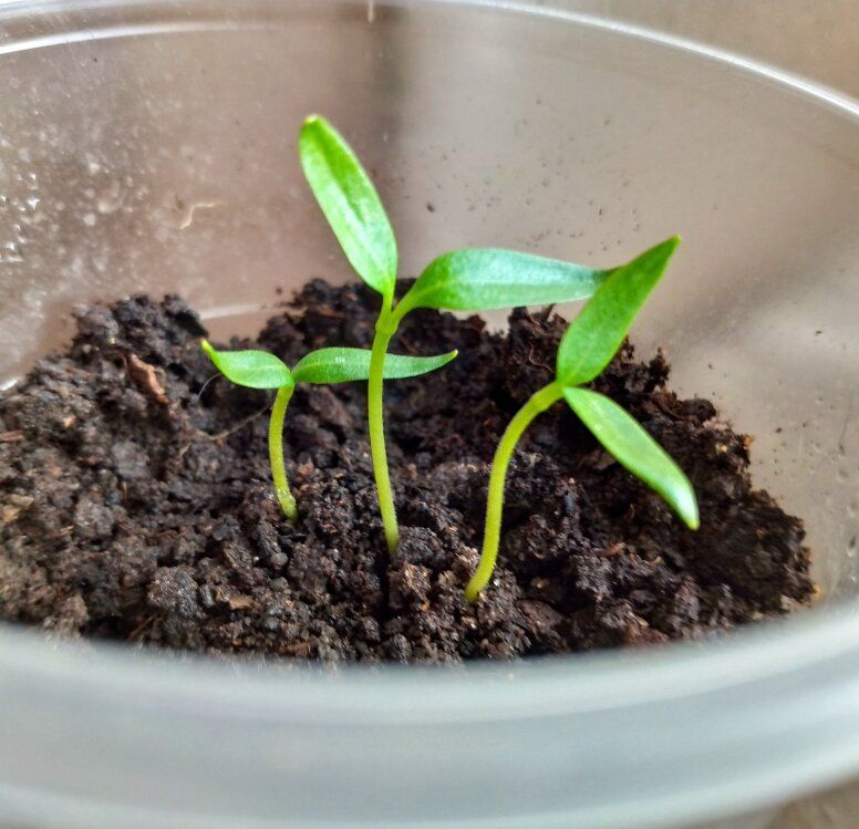 ������� ����� ��� �����: ��� ���������� � ����� ���������� ��� �������� ������