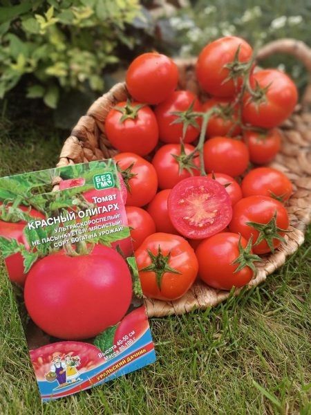 Томат Красный олигарх: практичный выбор для любого сада