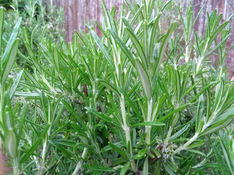 ��� �������� ���������� � �������� �������� � ��������� ����� ���������