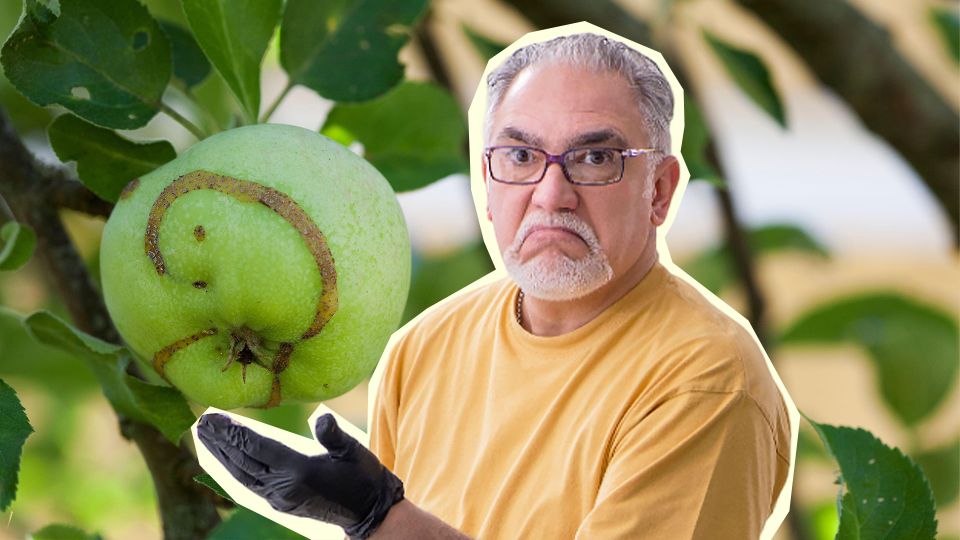 ��� ������ ���� ������ ����� ���������: ������ ������� ����