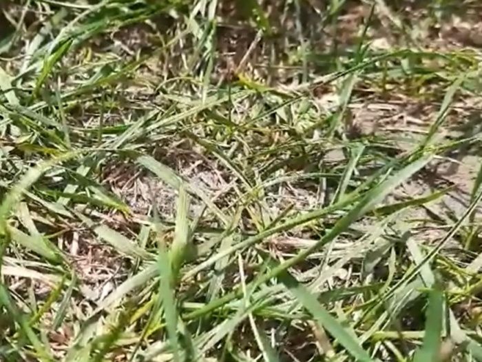 ����� ��������