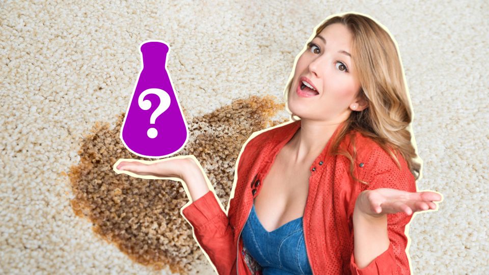 ������ ����� �������� � ����� �� �������: ������� ��� ��������� ��������