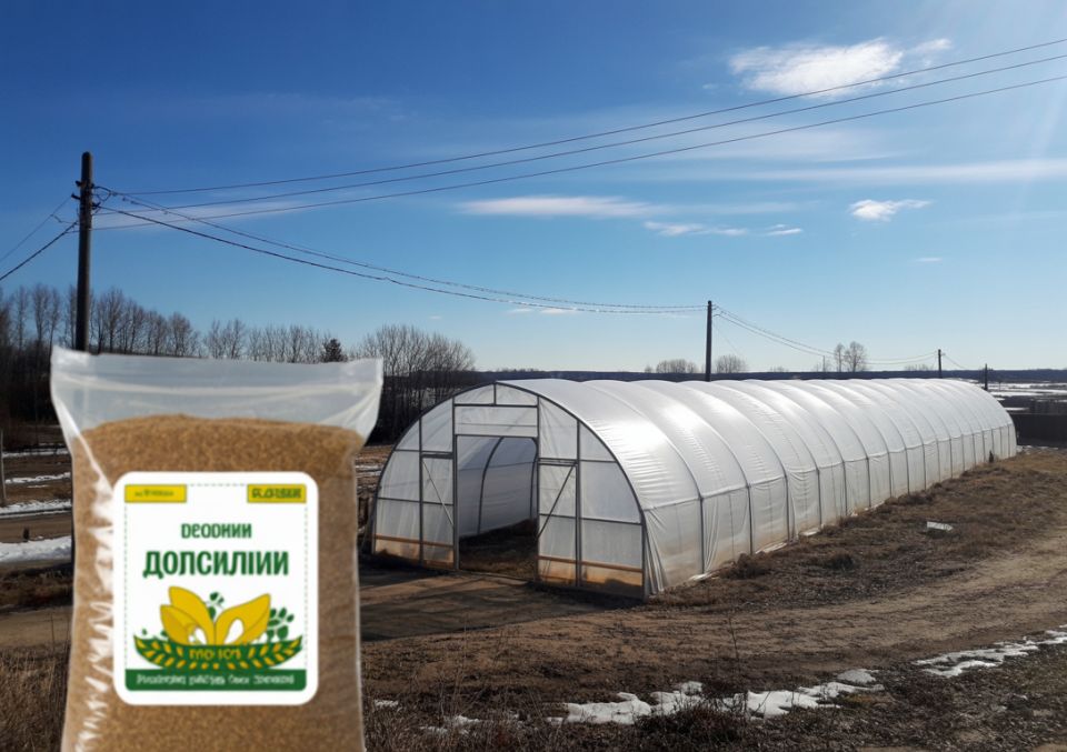 Как спасти грядки: один секрет для весеннего пробуждения почвы