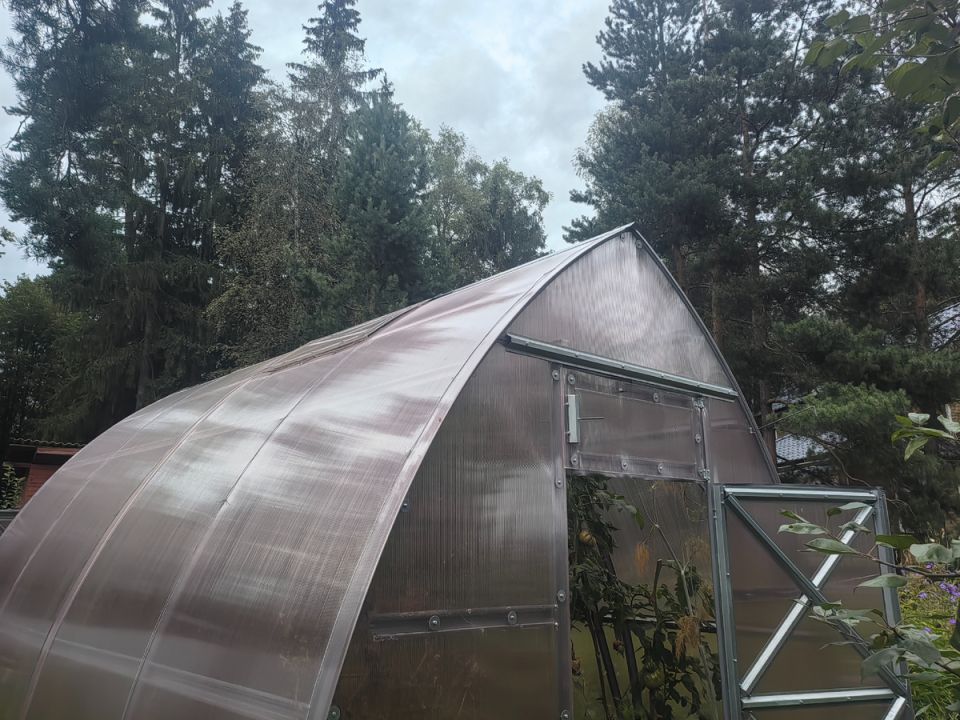 ��� �������� �������� � ���� ����: ���� ��� �����