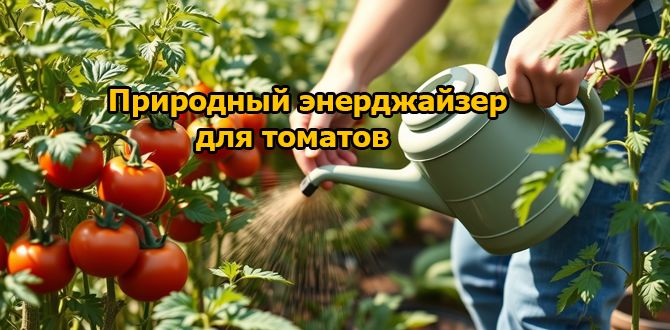 ������ ���������� �������: ��� ������������ ��������� ������ ��� �������� ������