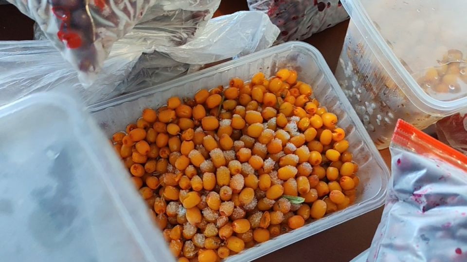 Что делать с ягодами из морозилки: советы по заготовкам