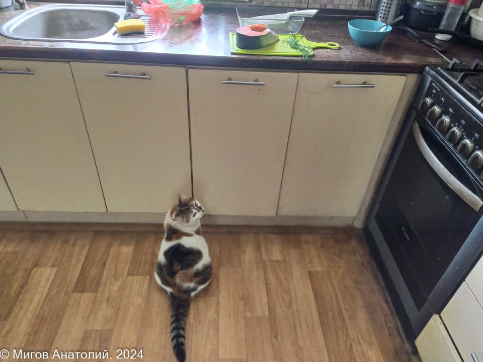 Как приготовить идеальный слабосолёный кижуч с укропом: пошаговый рецепт