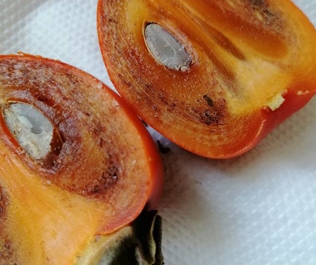 ��� ���������� ���������� �� ����� � ��������