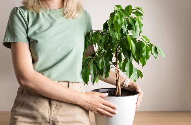 ��������� ����� ��� ������ ����: ��� �� ��������� � ������