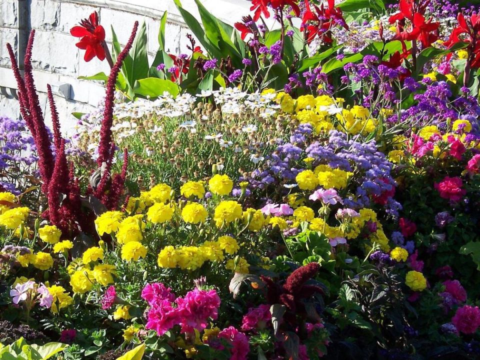 ��� �������� ��������� �������� � ������ ����� ���������� �� ���� �������