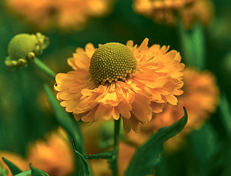 ���������: ���������� ������� �� ������ ��������