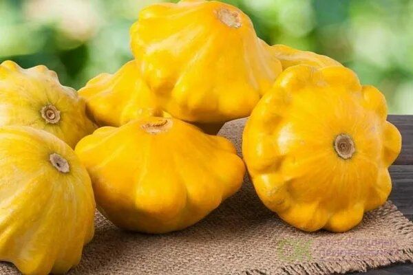 ������������ ��������� �������: ������� ��������� �����������