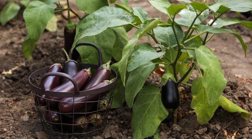 ����� � ����������� ����������: ������� ������������ ������ � ����� �� ��������