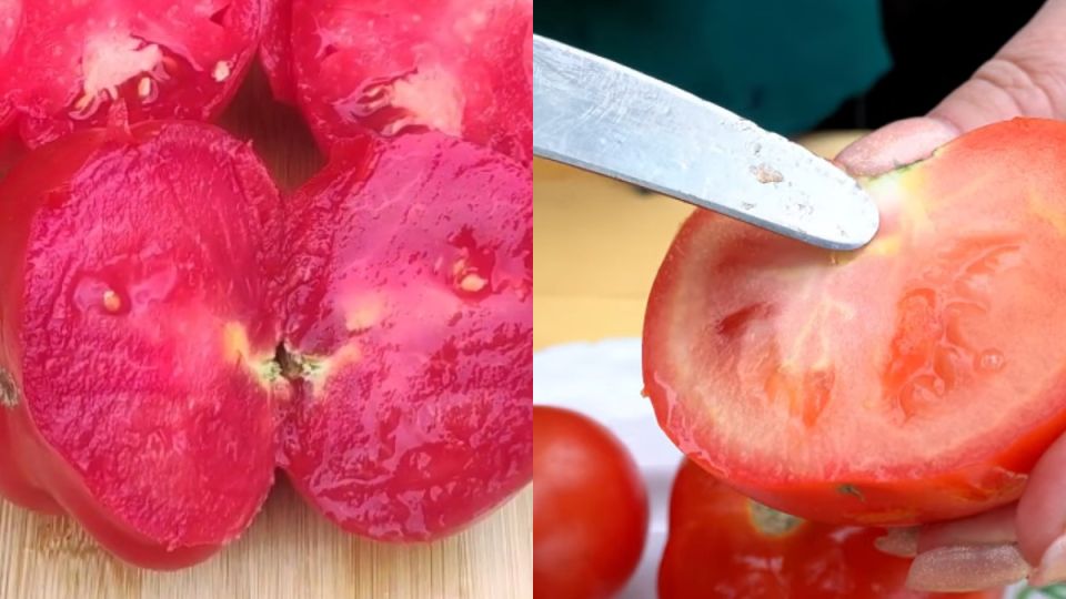 ��� ���������� �� ����� ����� � ���������: ������� ��������