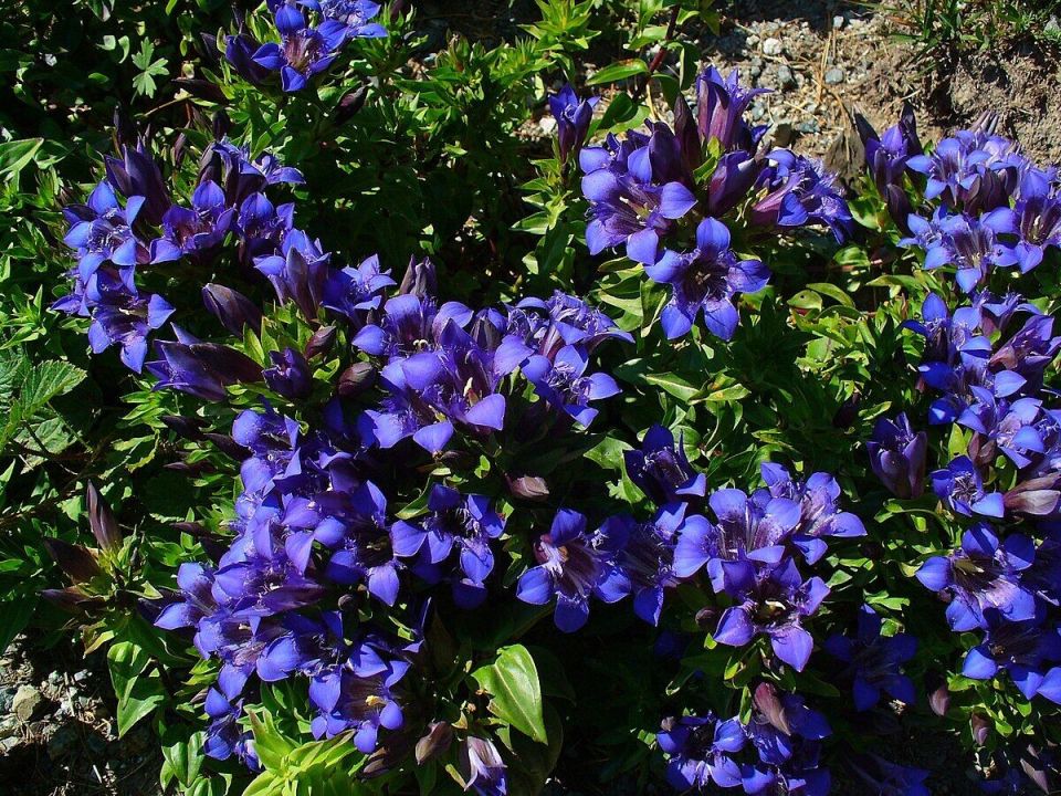 ����� ��� ������ �������: ������� ������� ��������, ������� ������ � �����