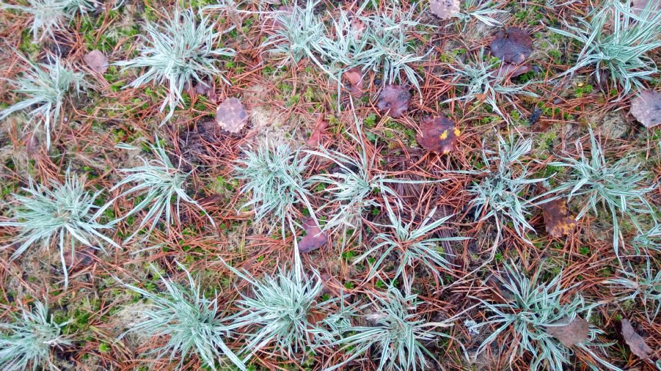 �������� �� ���������: ��� ��������� ����� ����� � �������� ������� ����������� � ��������