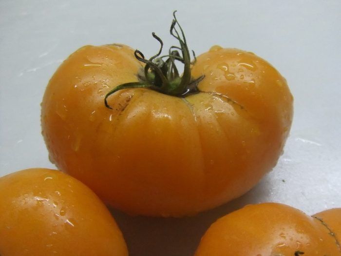 ����� ����� �����: ��� ��������� ����� ��������� ������ ���������