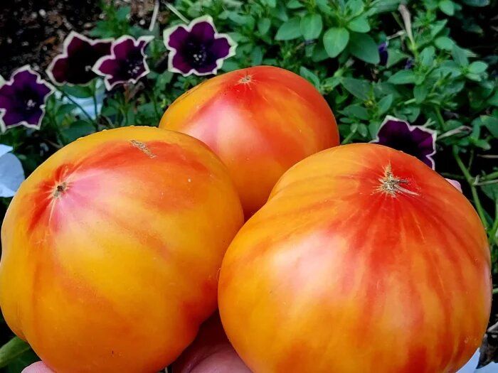 ����� ����: ��� ��������� ��������� ������ ���� � �������� ����������� ����