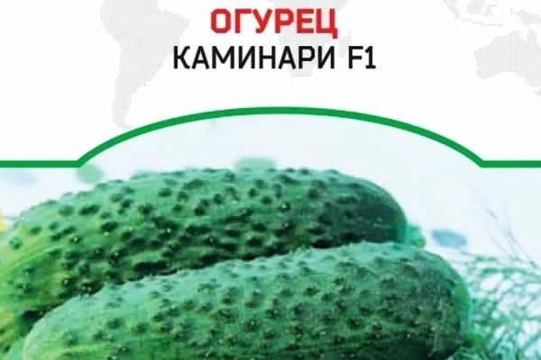 Огурцы Каминари: идеальный выбор для вашего огорода