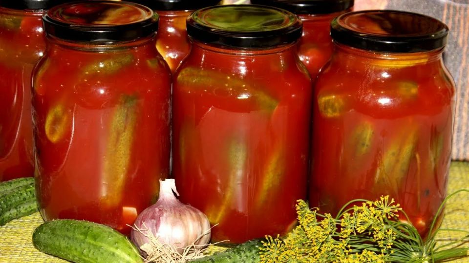 ������� ������ �����: ��� ������������ ������ � �������� � �������������� �������� �����