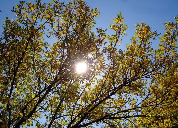 ��� ����������� ��� � ����: ������ �� ������ �������� �� ����������