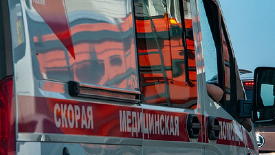 Бергамот как секрет борьбы с ожирением печени