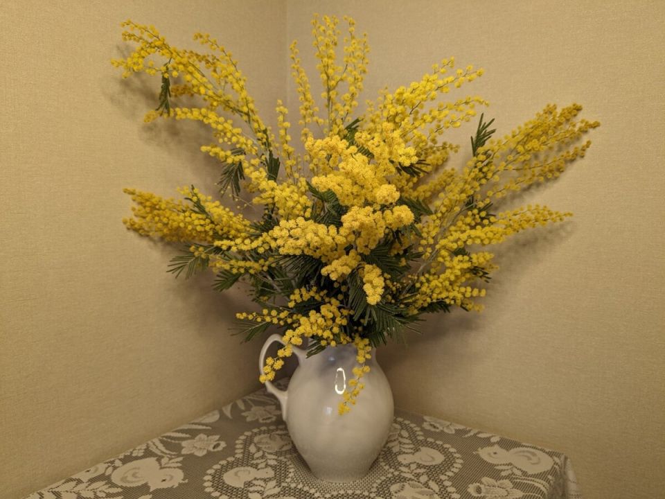 ���� ��������: �������� ����� ������ � �������