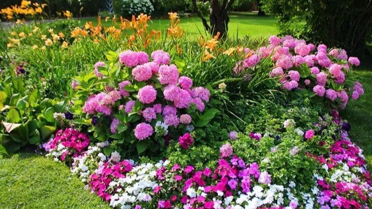 ��� ����� ������ � ������ ����� ���������� ��� ��� � �������� �����