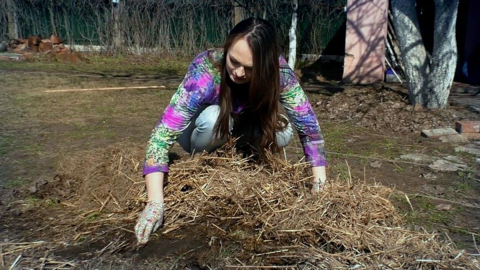 Необычные источники органики для дачников: 7 идей для богатых грядок