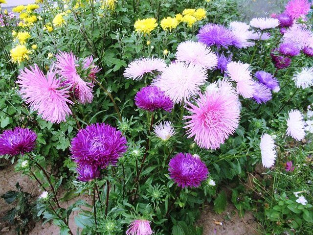 ������ ������� ������ ���� ���������� ������� ������ ��������