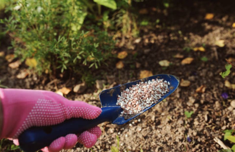 ��� ������� ������ ��������� ��� ����� � ���� � �������