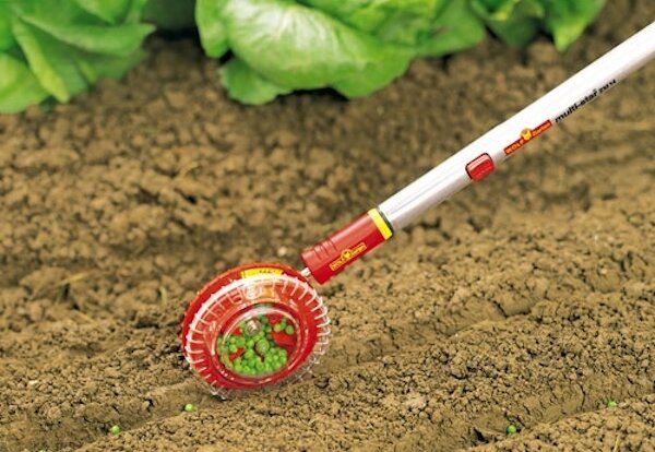 ������� ���������� ��� �������� ������ ������ �����