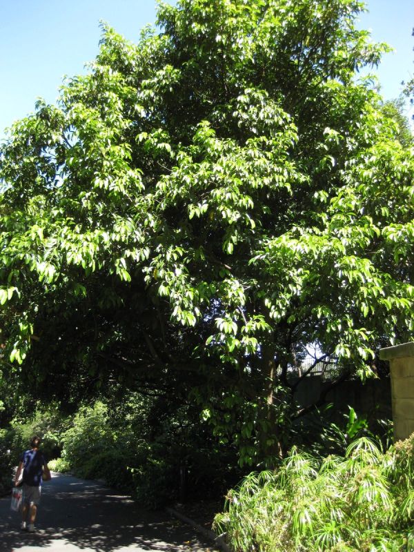 �����������: ���������� ������ ������������� �����